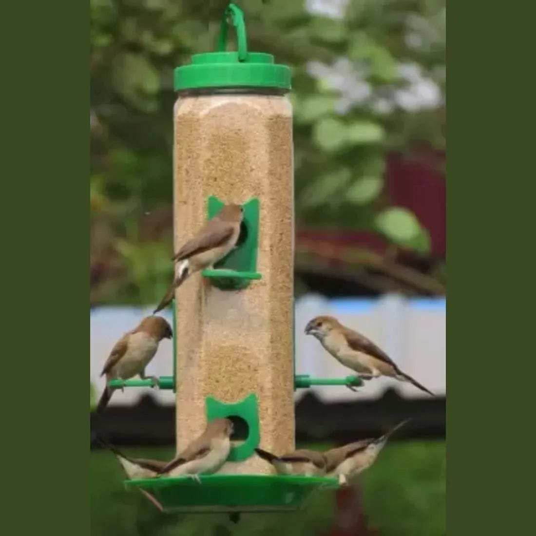 TweetTreate™️ Bird feeder (Pack of 2)