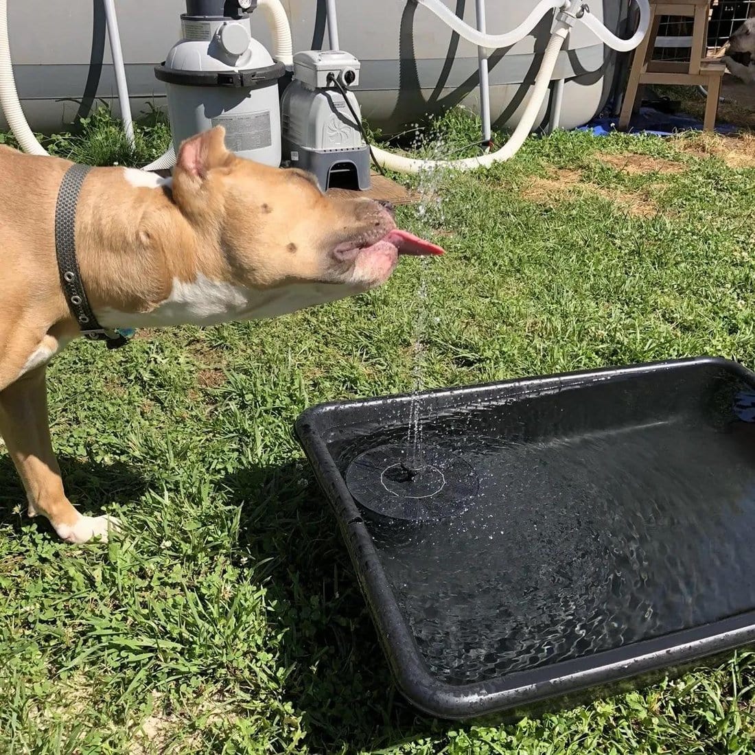 SolarSpray™️ Water Fountain Kit